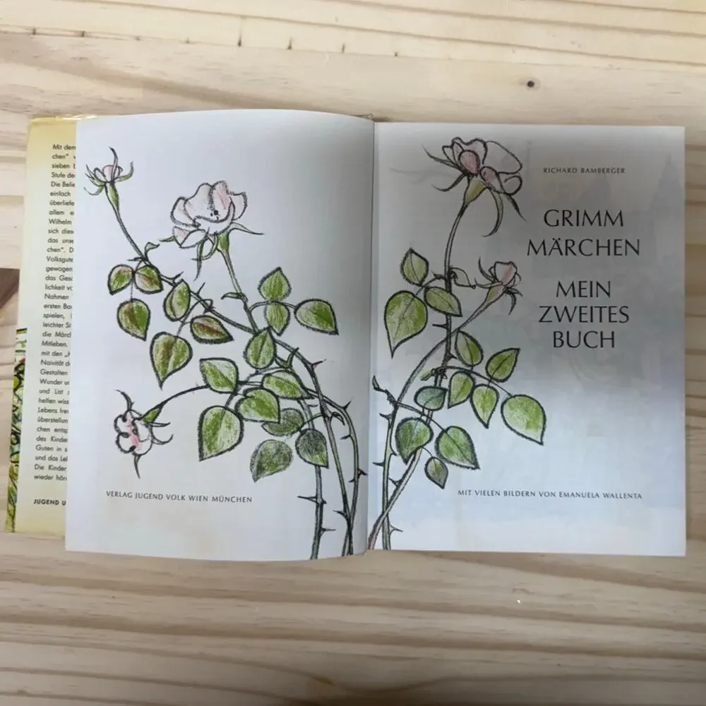 Lot of 2 Grimm Fairy Tales by Richard Bamberger in German 1972 HCDJ
